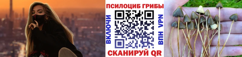 Галлюциногенные грибы GOLDEN TEACHER omg tor Арамиль